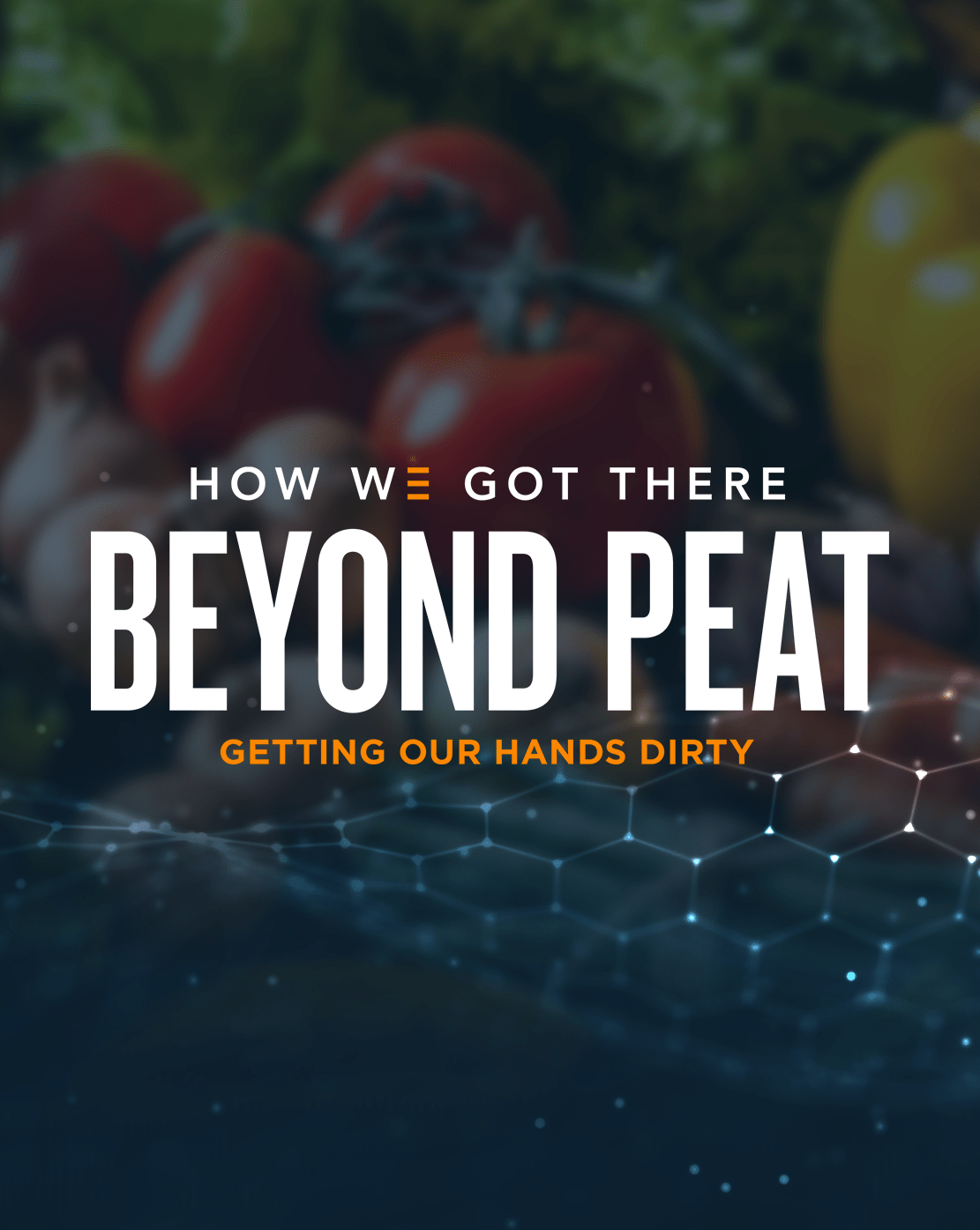 How We Got There | Beyond Peat | Getting Our Hands Dirty